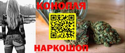 эйфоретик Камышлов