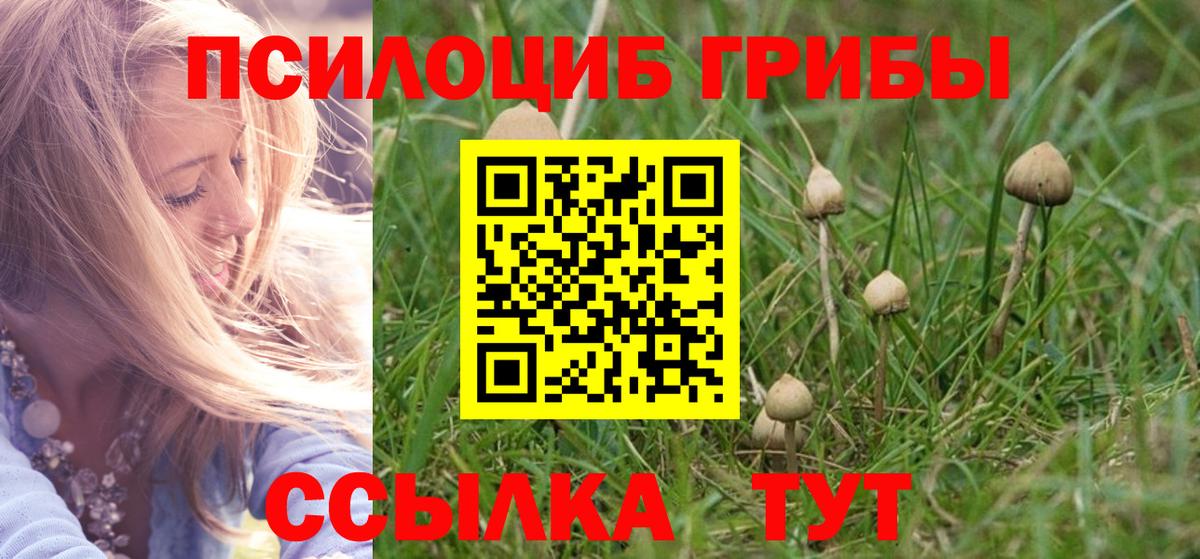 Галлюциногенные грибы MAGIC MUSHROOMS  Вход с VPN  Ленинск-Кузнецкий 
