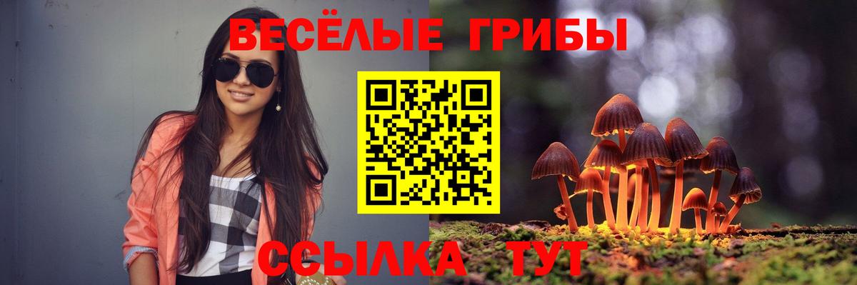 Галлюциногенные грибы GOLDEN TEACHER Ленинск-Кузнецкий